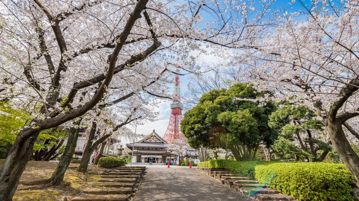 港区の東京タワーと増上寺